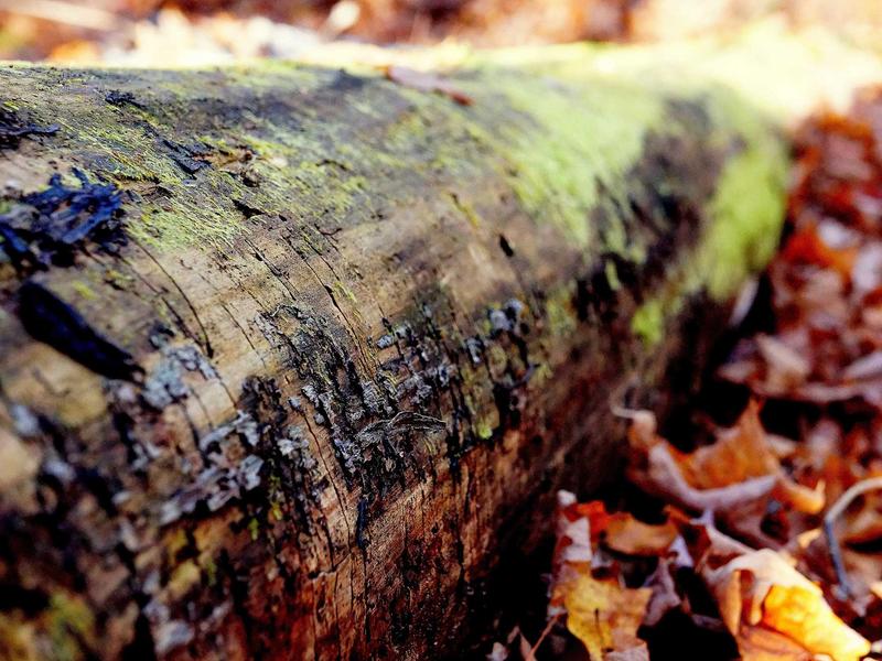 sudoku zen mode screenshot 3